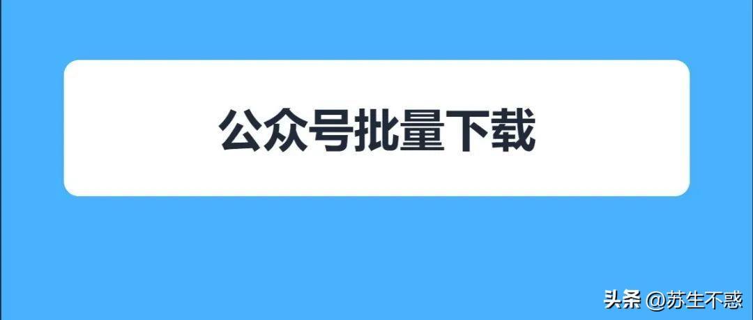 支付官方下载最新版本探讨，安全性与功能更新解析