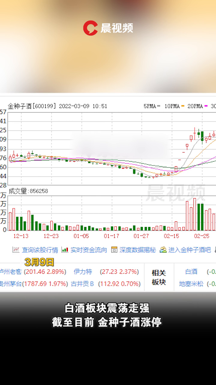 金种子酒股票最新动态全面解读