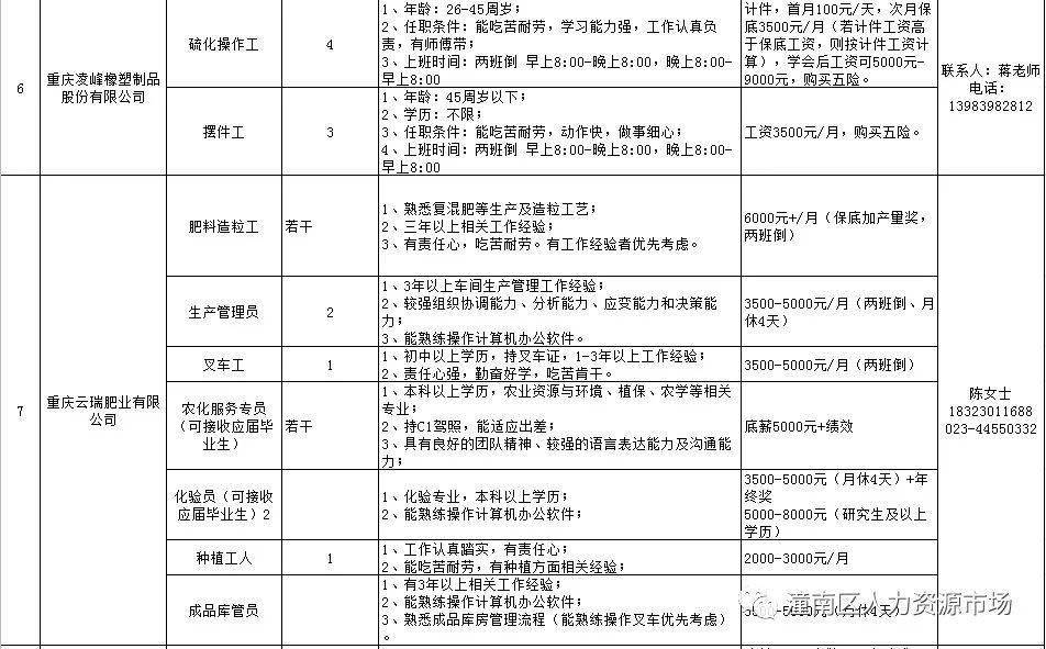 潼南招聘网最新招聘，职场新机遇探寻