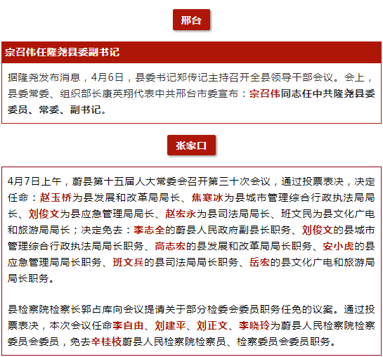 衡水最新人事任免动态概览