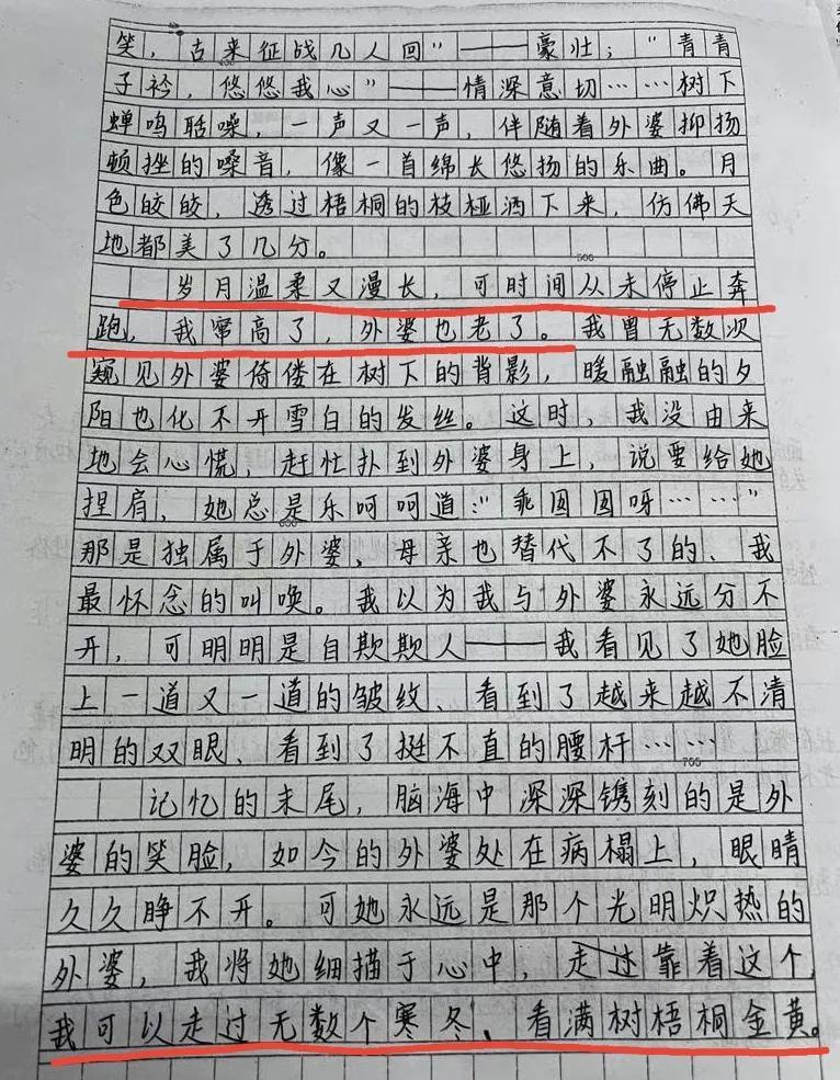 高中作文挑战与机遇并存，逆境中的成长之路