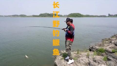 路亚钓鳜鱼，如何选择最佳钓线攻略