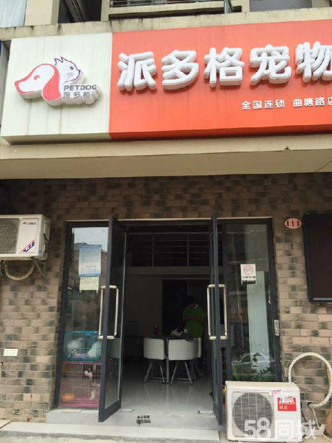 宁波博美宠物店，宠物爱好者的梦幻乐园