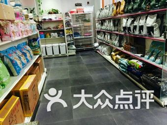 世纪城宠物店的奇幻探秘之旅