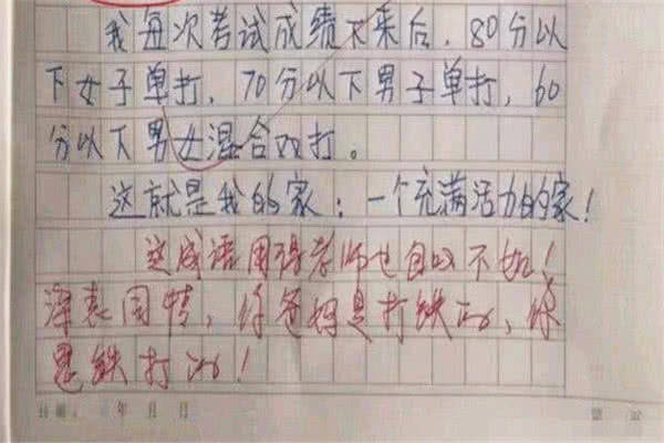 小学生作文的魅力，从简短到丰富的探索——以百字作文为例