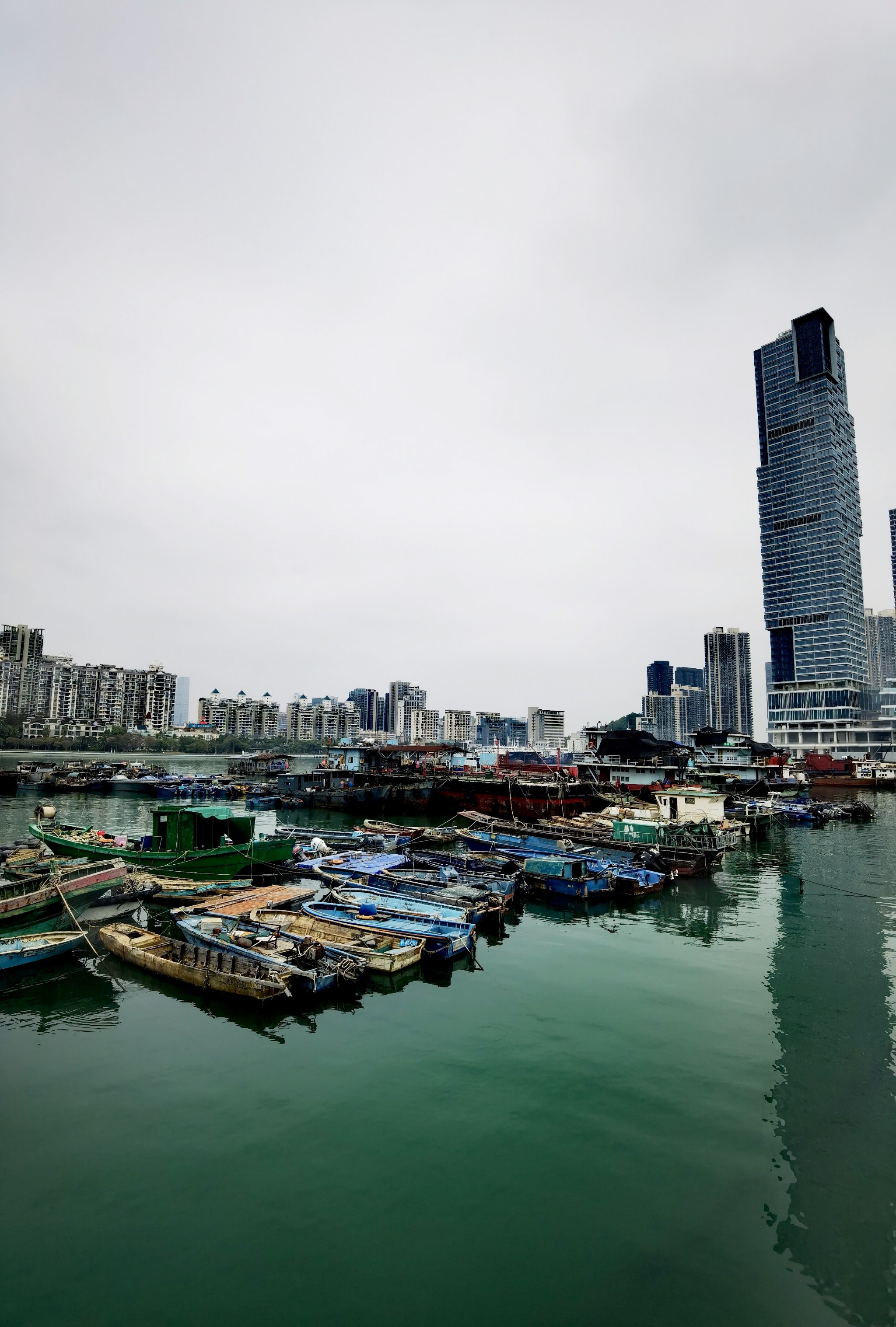 深圳小港，繁华都市中的静谧避风港