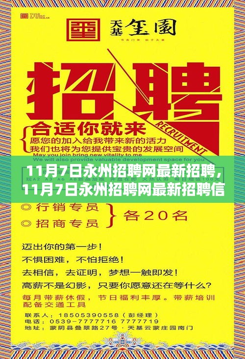 永州招聘网最新招聘动态深度解读报告