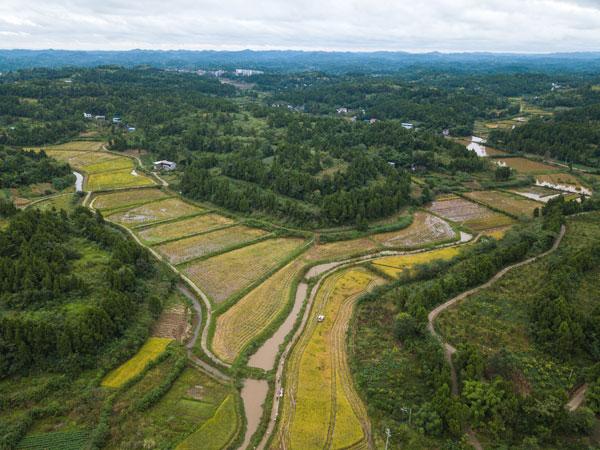 最新土地管理法下的土地高效管理与利用策略