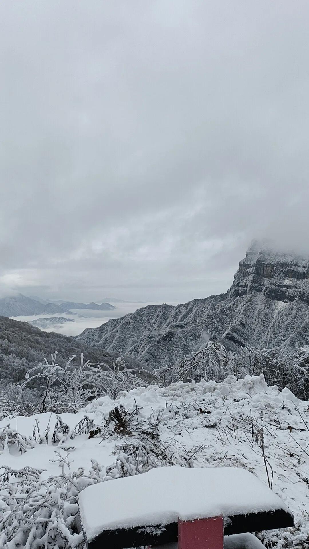 光雾山旅游攻略，最新指南与深度探索之旅