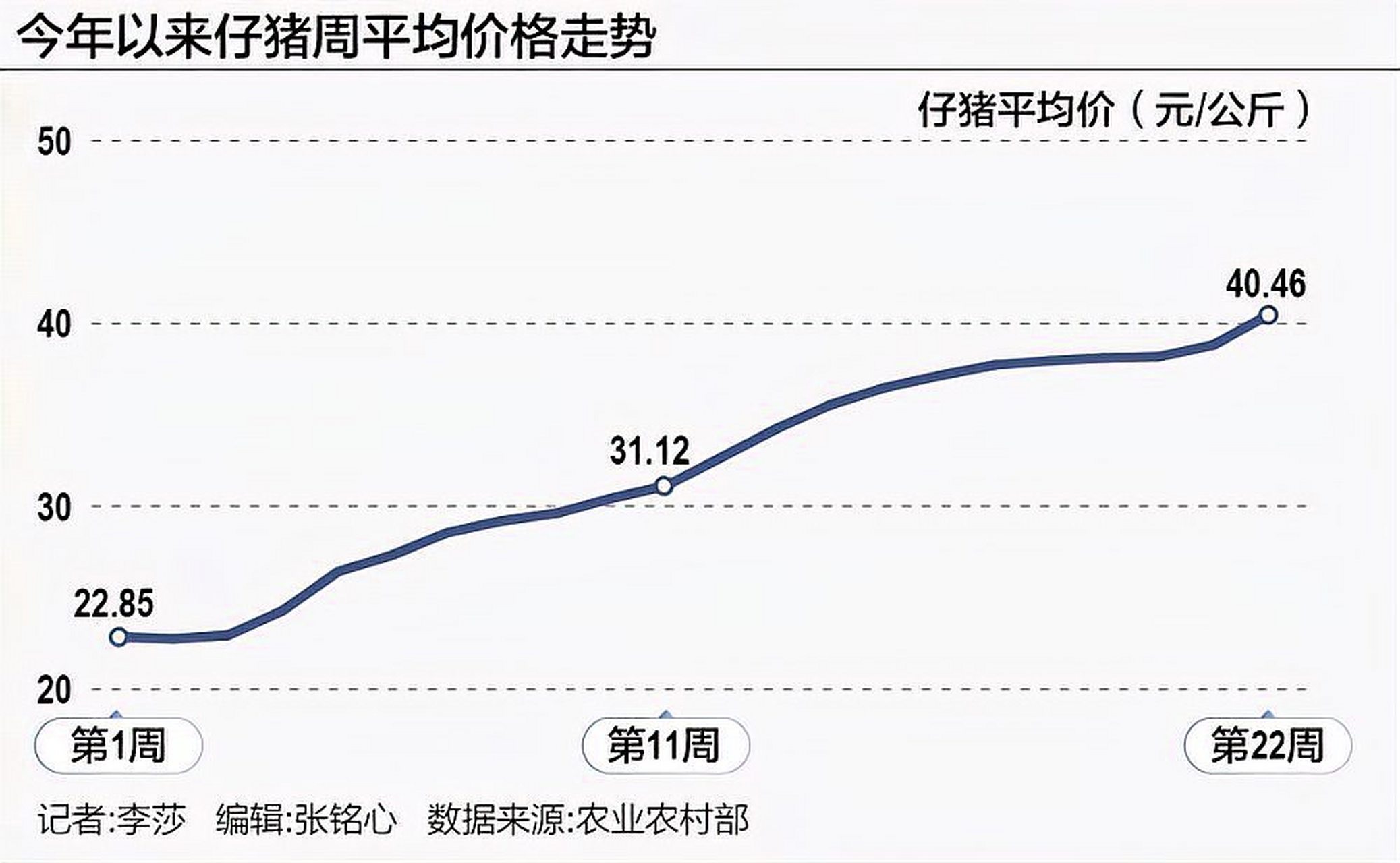 猪的最新价格行情解析